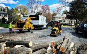 Lawn Grading and Leveling in Elizabeth City, NC